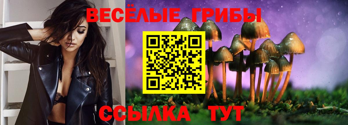 Вичуга  Галлюциногенные грибы Psilocybe  Вход с VPN  Псилоцибиновые грибы ЛСД 